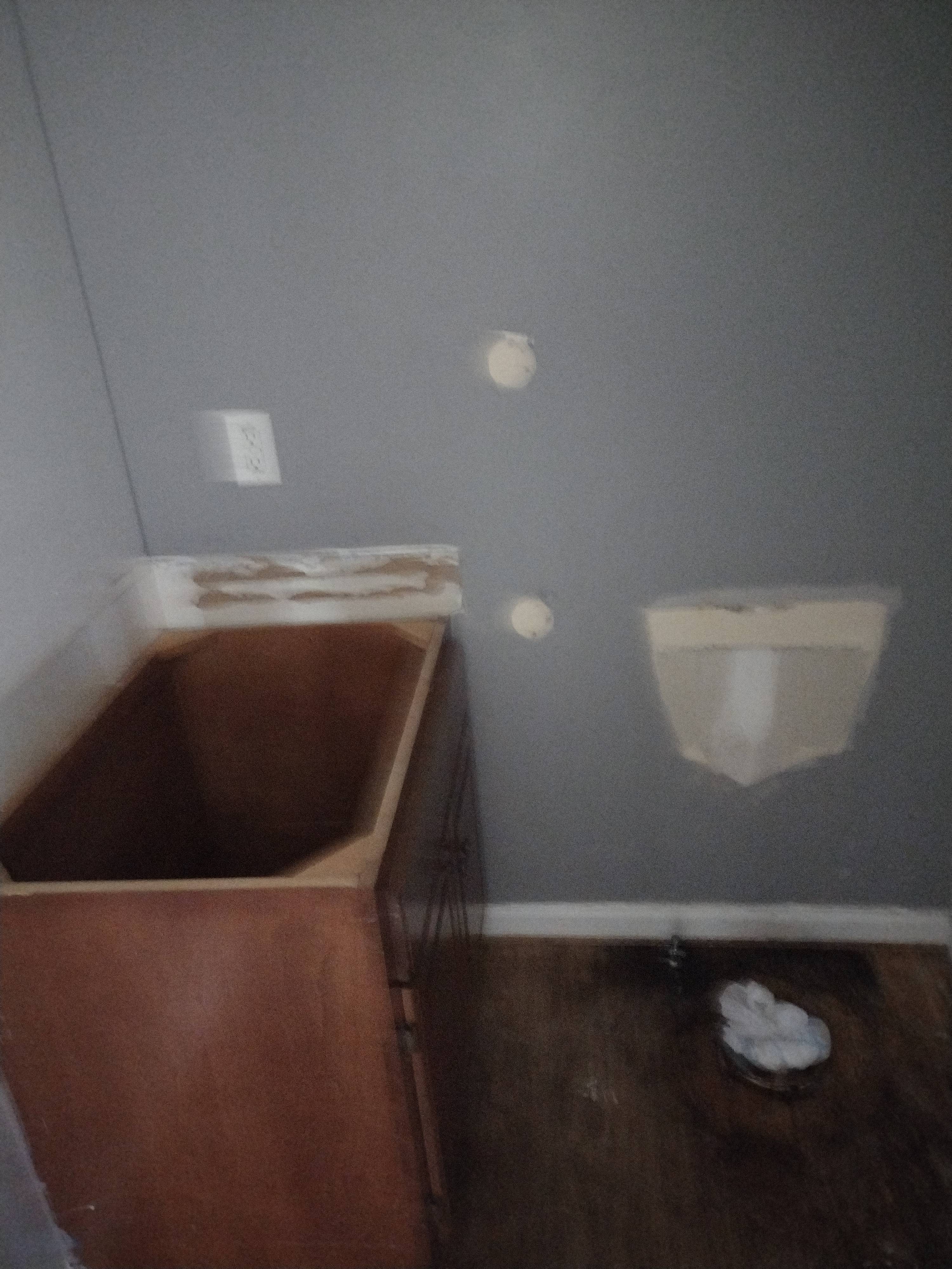 Before Image 1