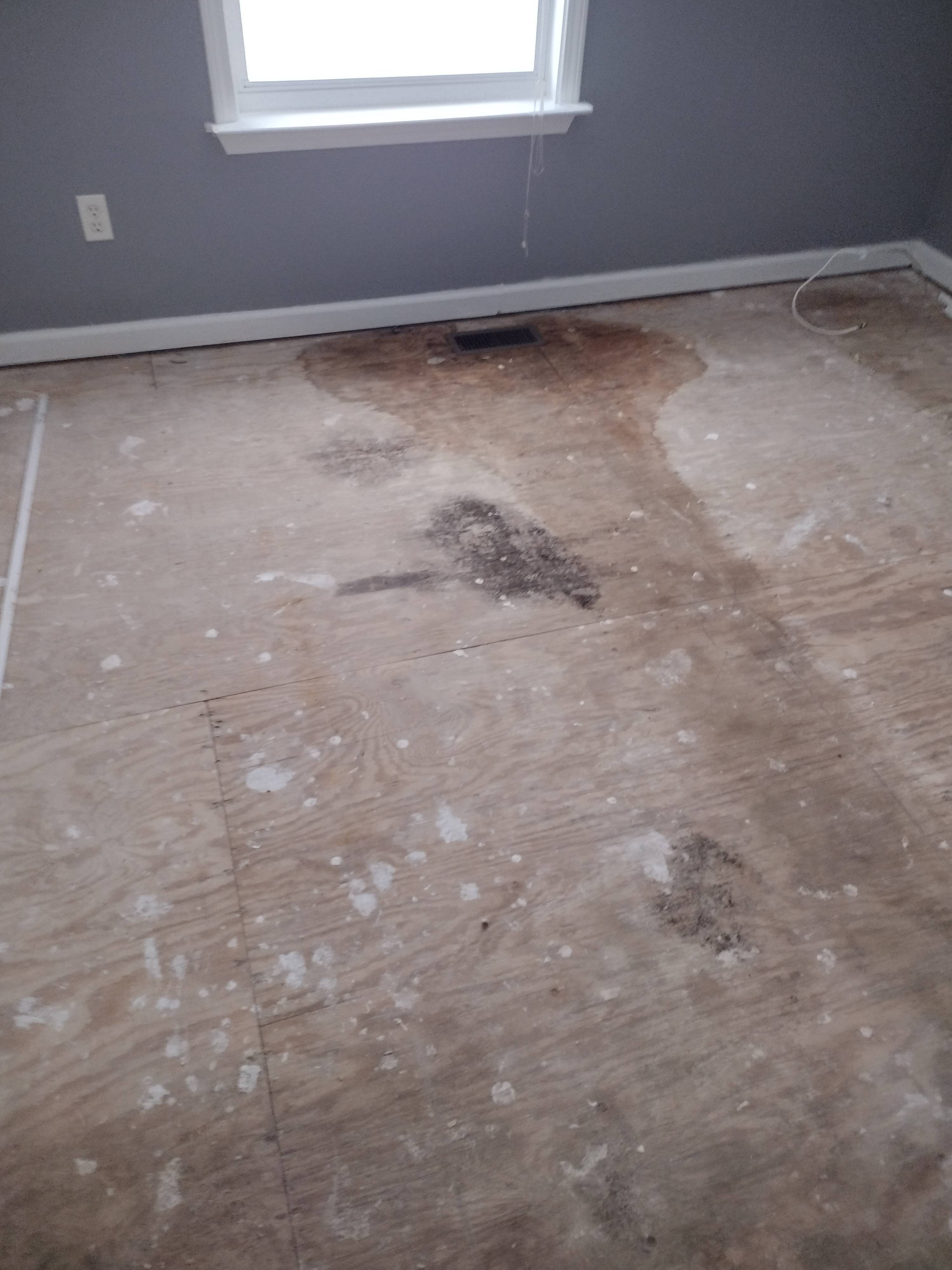 Before Image 1