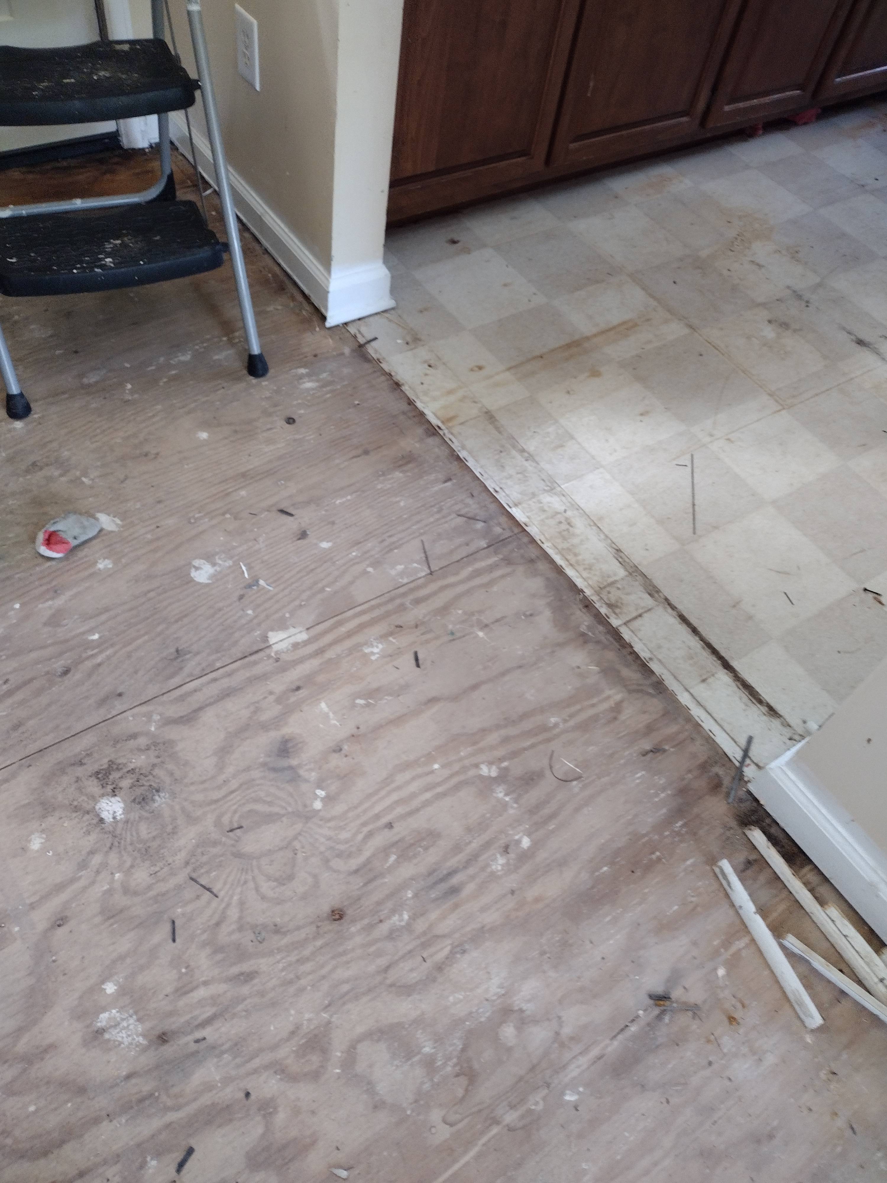 Before Image 1